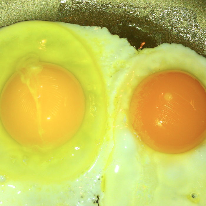 Can you tell which is the certified organic, cage free egg?